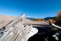 Wood, Sand, and Snow